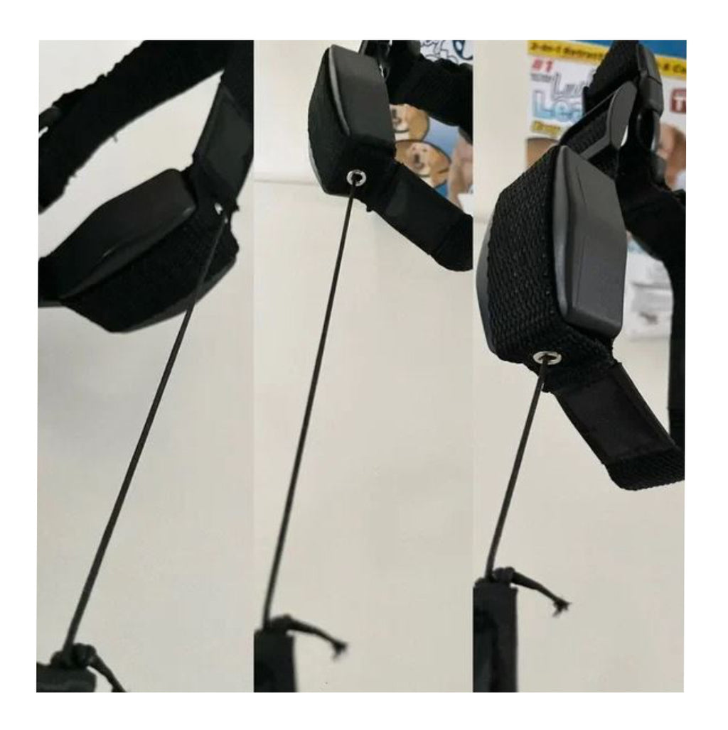 Collar Para Perro Con Correa Retráctil