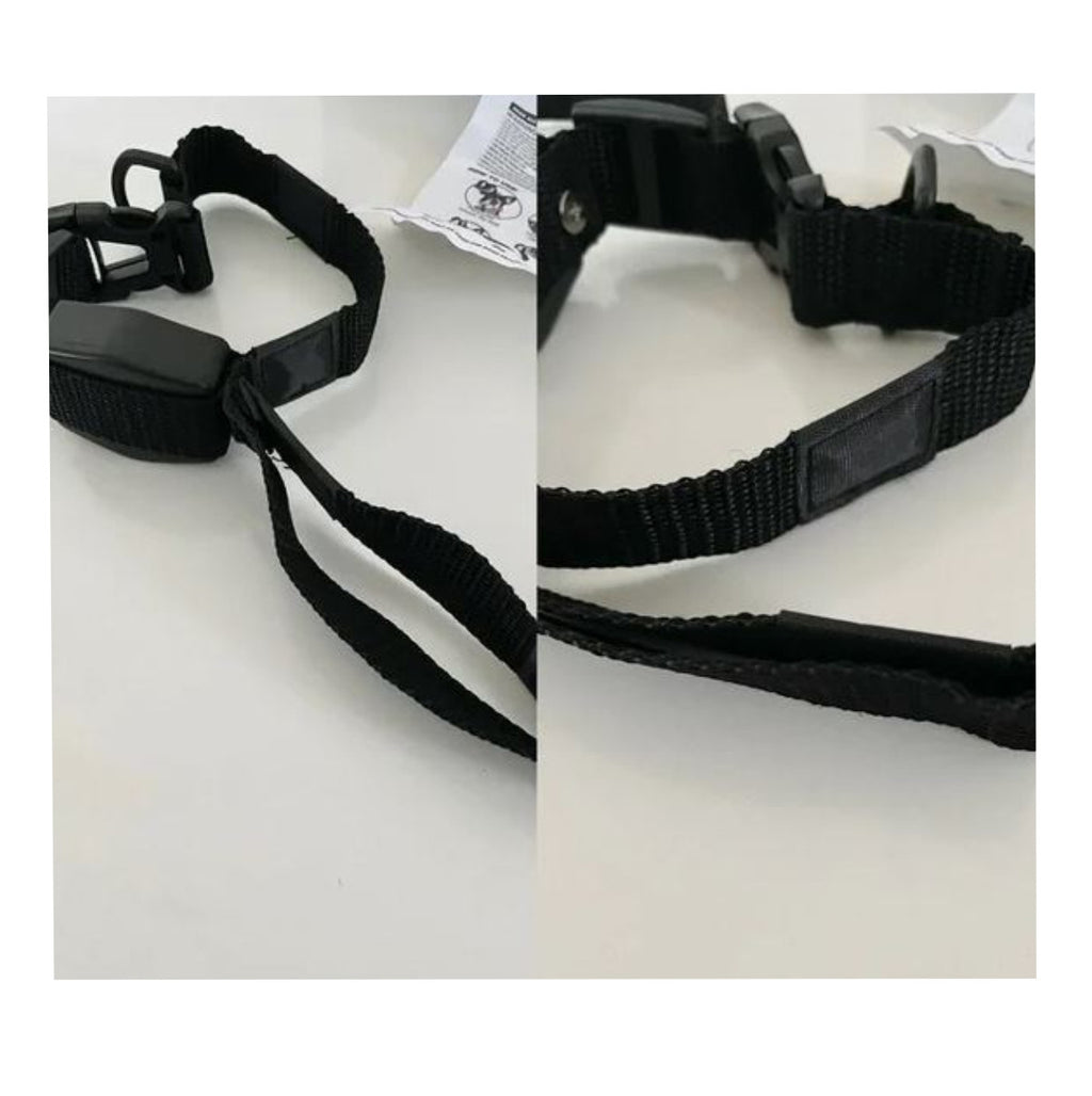Collar Para Perro Con Correa Retráctil