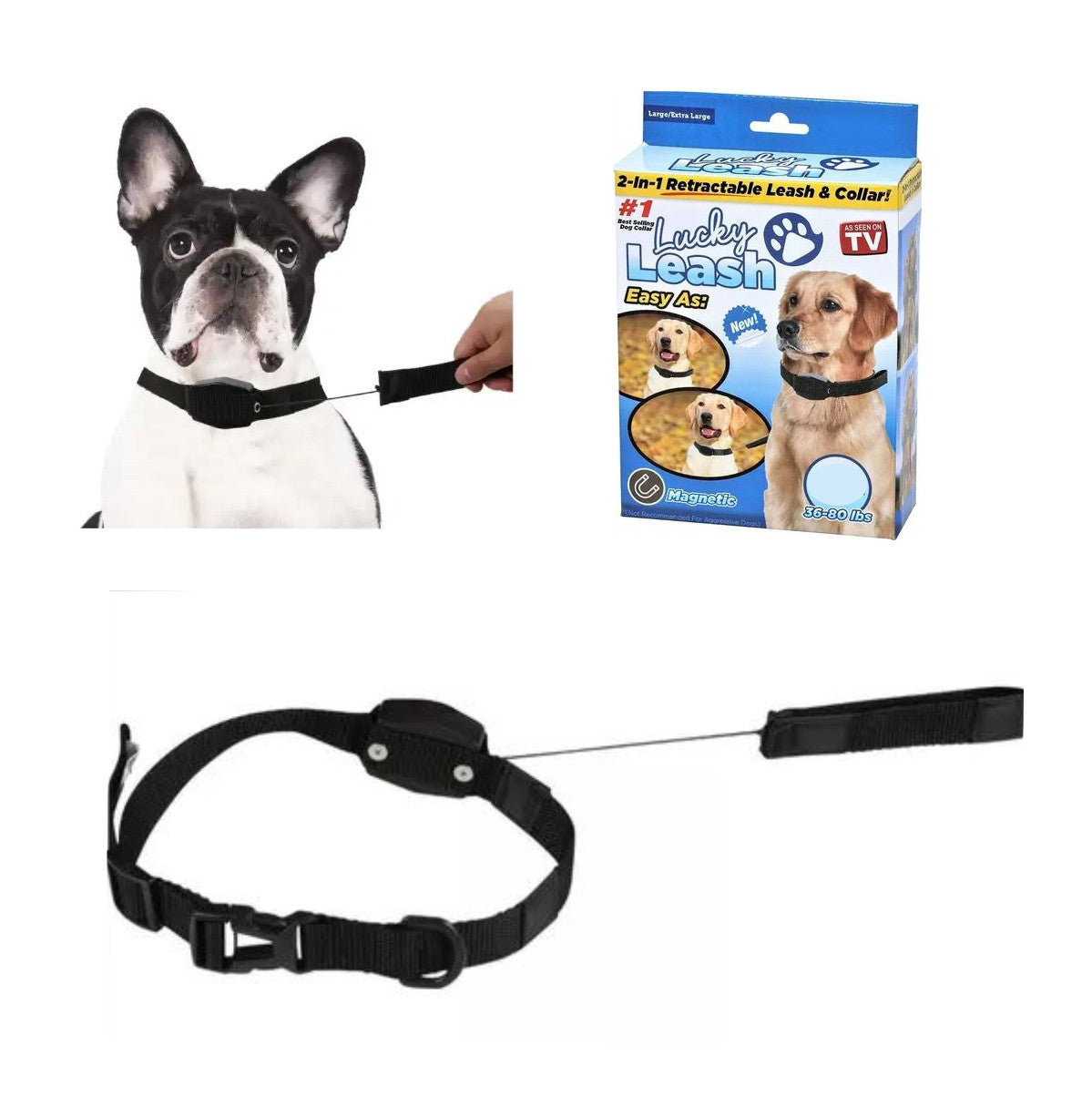 Collar Para Perro Con Correa Retráctil