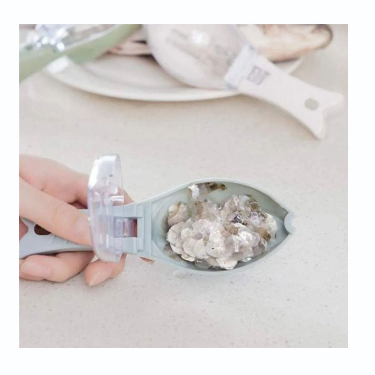 Descamador Pescado Con Deposito