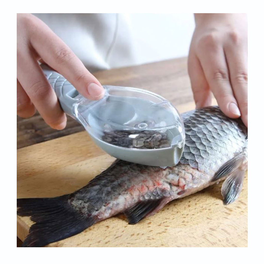 Descamador Pescado Con Deposito