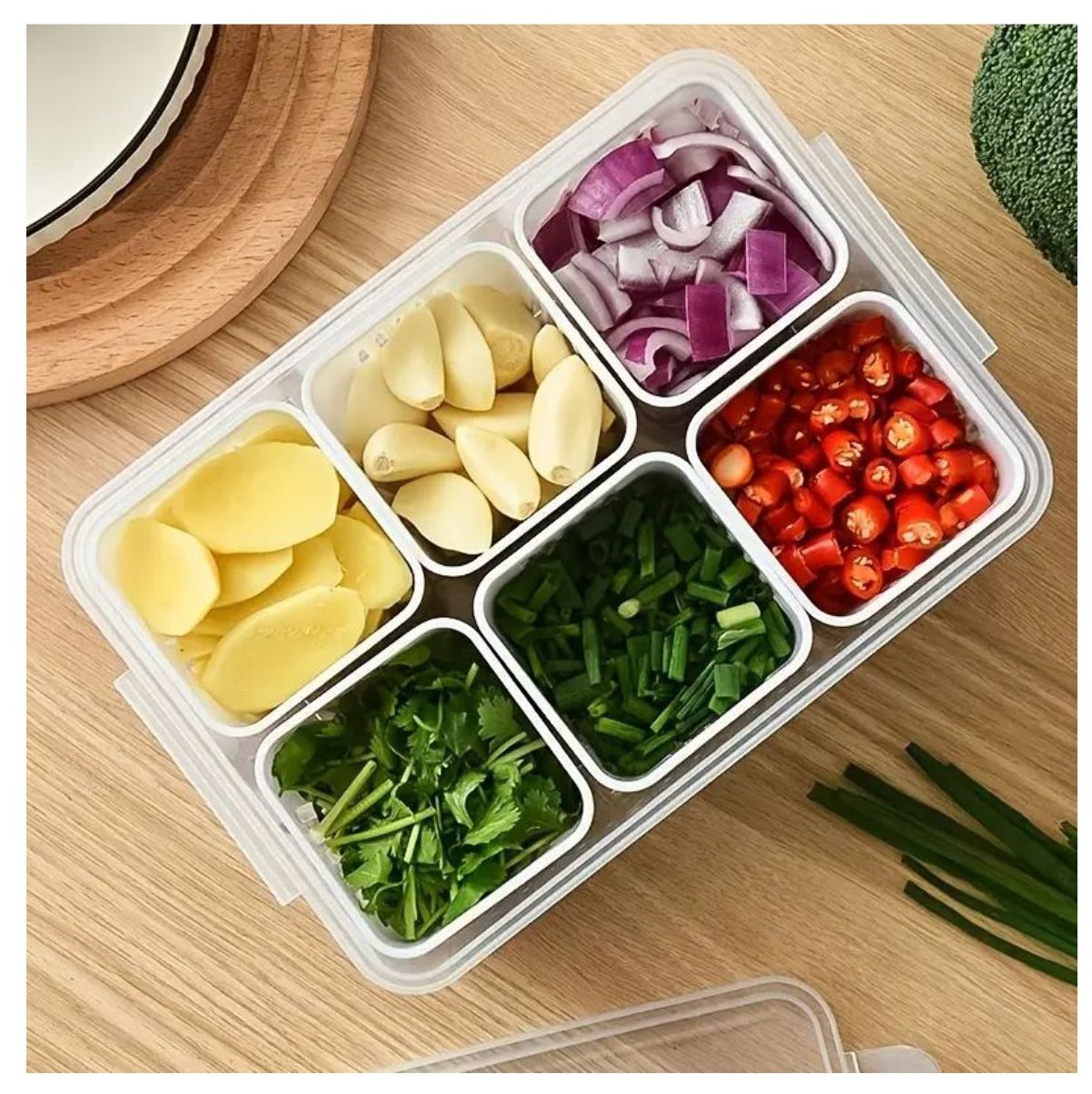 Contenedor y drenaje Hermetico Alimentos